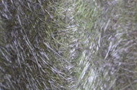 Achluachrach fibreglass roof work